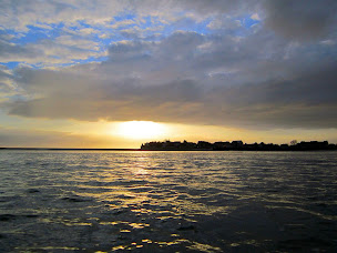 Photo n°5 de Découvrons la Baie de Somme à Le Crotoy (Centre de loisirs)