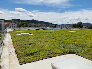 Photo n°25 de Vegetek à Cenon (Pépinière)