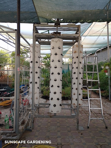 Gallery image 52