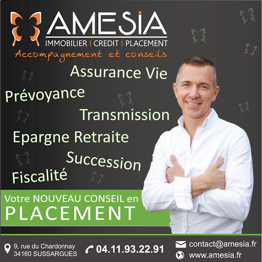 AMESIA - Christian MAISSE - Thumbnail