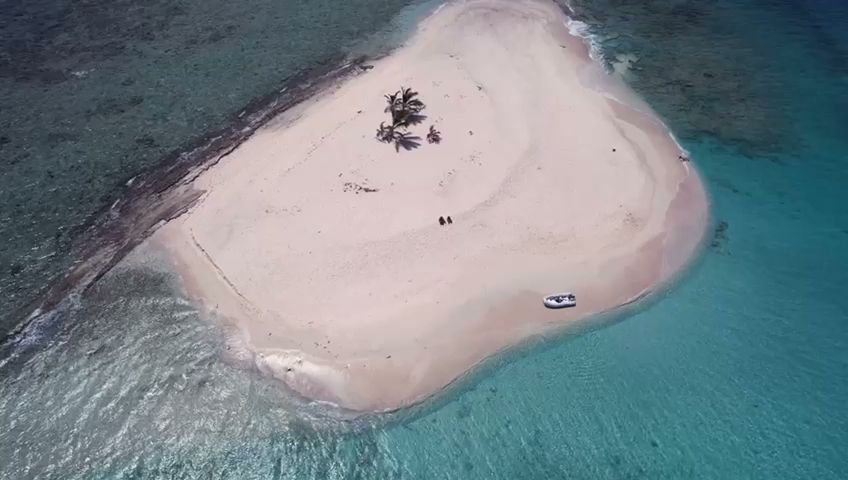 Stoutt's Taxi and Tour Services by null