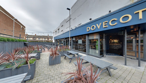The Dovecot - Visual