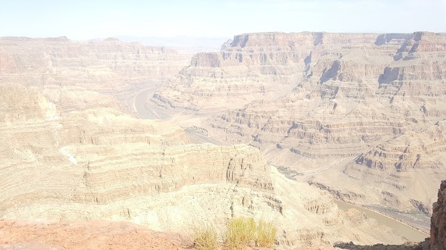 Guano Point