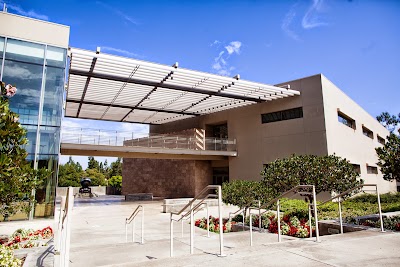 university