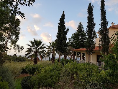 Photos of VKastri