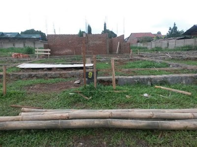Photos of Global Realty
