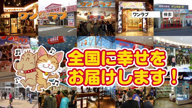 ペットショップ ワンラブ カインズ広島LECT店