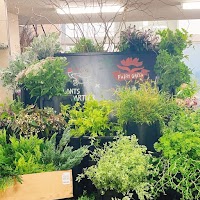 ㈱プランツパートナー大阪店