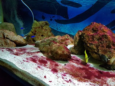 Photos of Tropicarium Park
