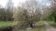 Clayton Vale manchester