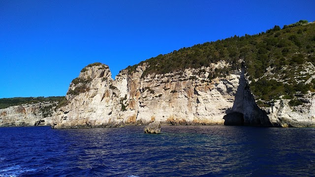 Antipaxos