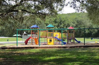 Roofing Contractor, Minneola, FL 