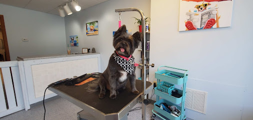 Salty Dog Pet Spa