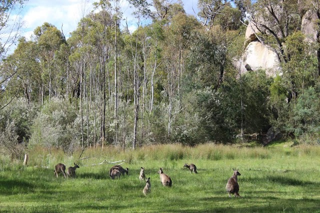 Tidbinbilla Nature Reserve