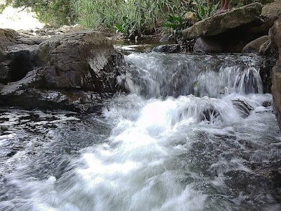 Photos of Gangula Resort (ගඟුල වන නිවහන)