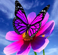 Chris Thérapeute Holistique à Cambo-les-Bains