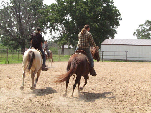 SBH Stable - Visual