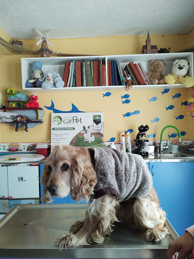 Hospital veterinario Círculo Azul - Thumbnail