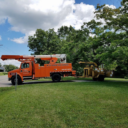 Top Down Tree Service, LLC
