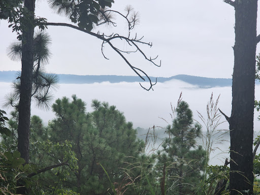 Lookout - Visual