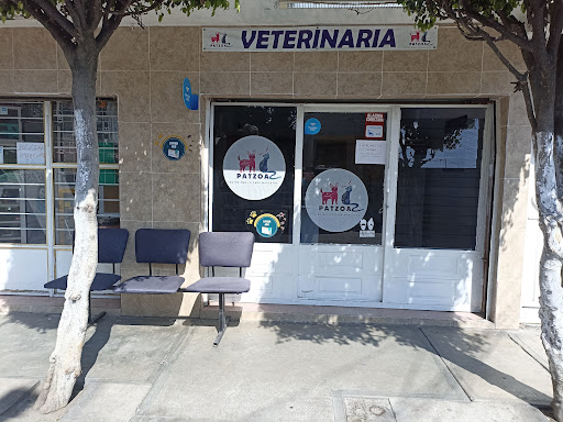 Centro Médico para Mascotas Patzoa
