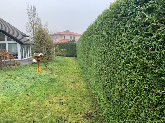 GaLaBau Nordhorn Inh. Niklas Hehsling