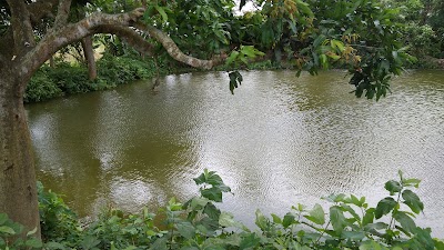 Photos of Dulalkandi Bazar - Narayanpur Bazar Rd