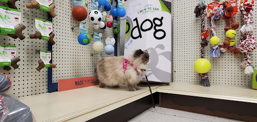 Blue Dog Pet Shop - Thumbnail
