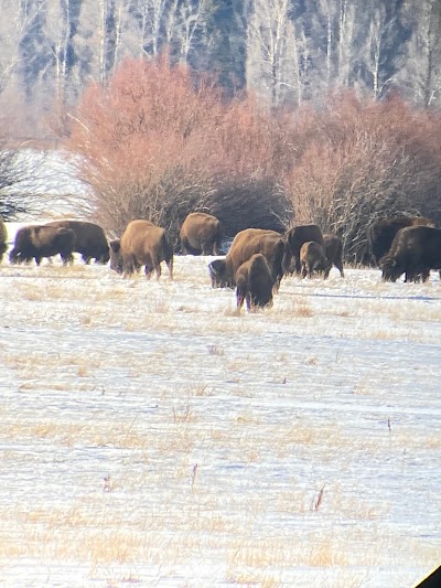 Teton Excursions