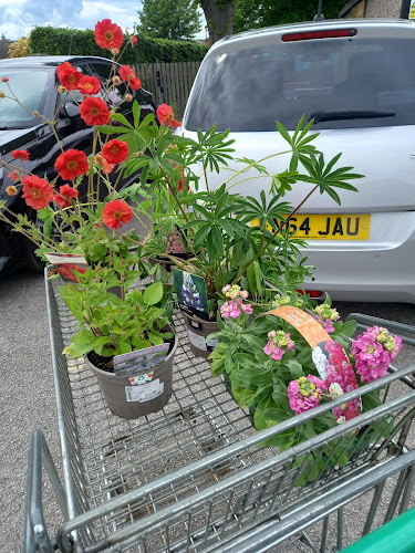 Stringers Garden Centre Open Times