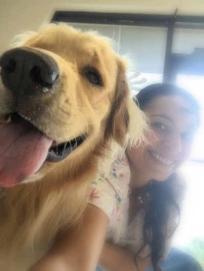 Photos of Collier Spay Neuter Clinic