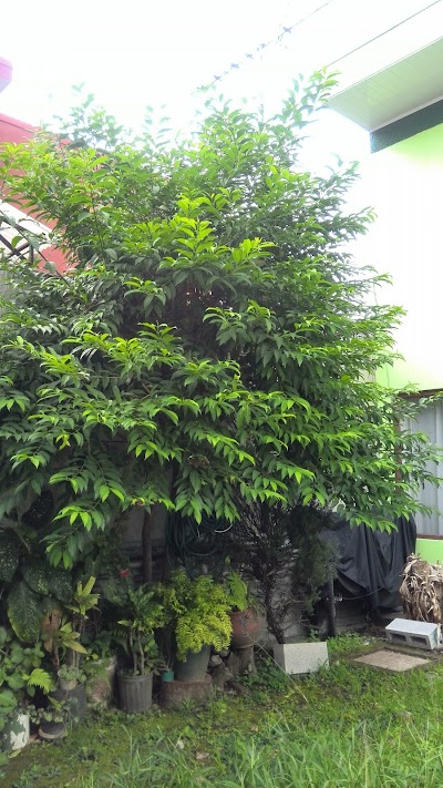 Photos of Homelegance
