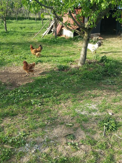 Photos of Ranch "Kemall&Alli"