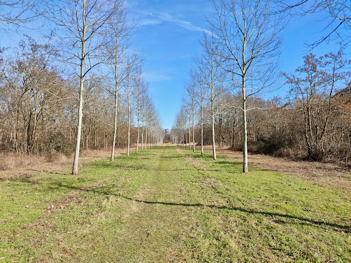 De Punt Wandelroute Gallery - Netherlands