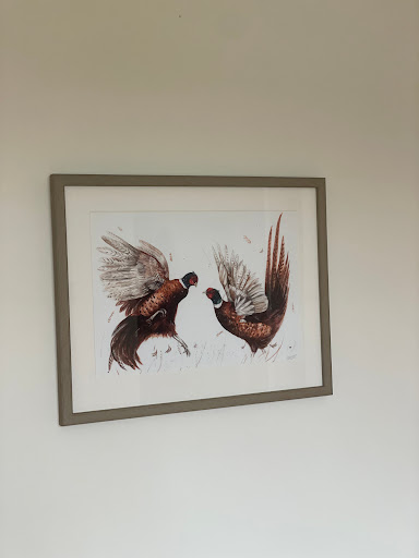 Stoneway Gallery - Visual