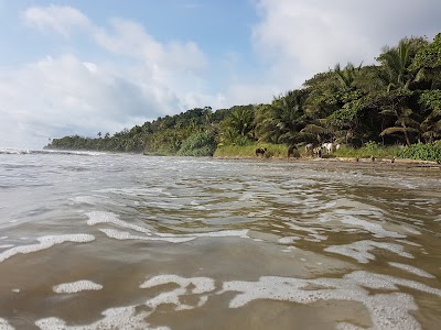 Photos of Young Vision Surf School