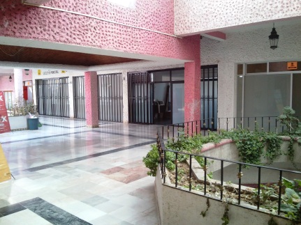 Green trends Real Estate, S. A. de C. V.