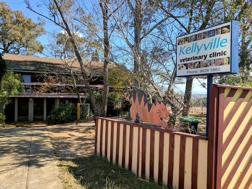 Kellyville Veterinary Clinic - Thumbnail