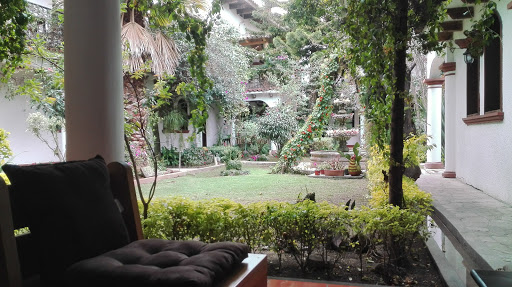 Restaurant San Andrés - Thumbnail