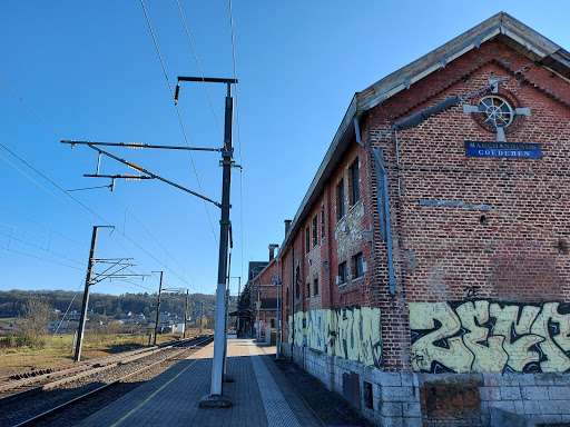 Beauraing - Visual