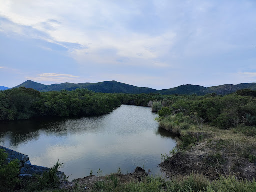 Estero Espantaperros - Thumbnail