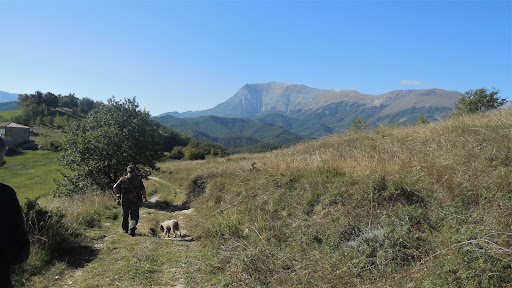 Le Marche Experience - Visual