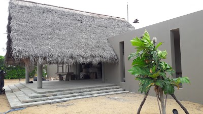 Photos of Palmyra Palm