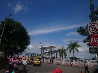 Photos of Trapolis