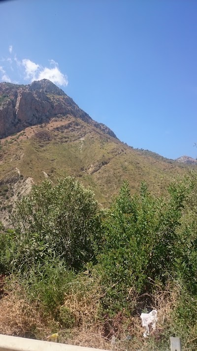 Photos of مطعم دبي- الموزينة