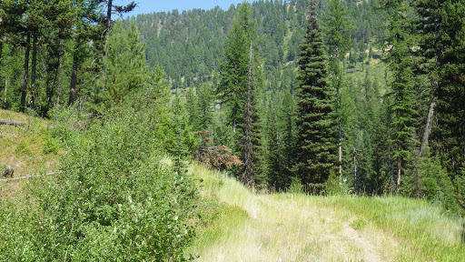 Bear Creek Traihead - Thumbnail