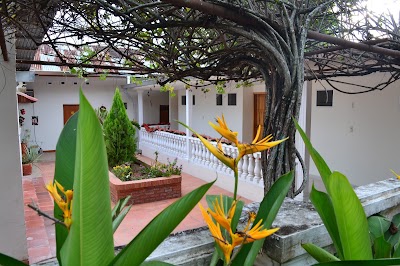 Photos of Hotel Villa de las Palmas
