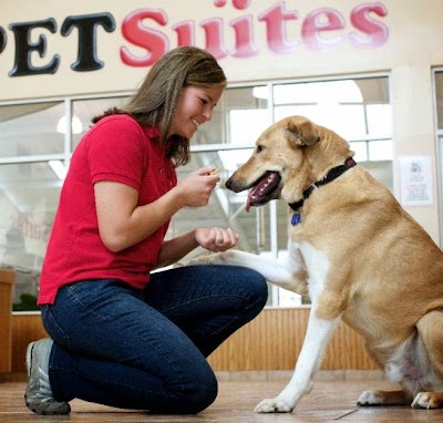 Photos of PetSuites Pet Resort & Spa