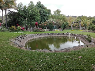 Photos of Fantasy Island