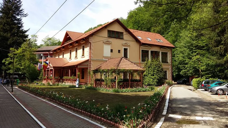 Vila Cerbul Albastru